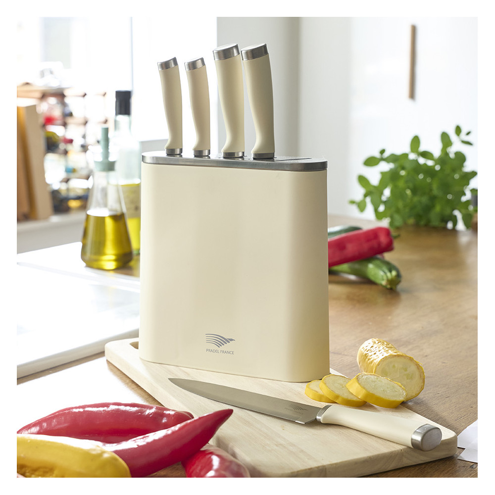 Bloc 5 couteaux vintage